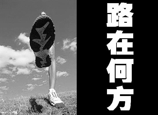 路在何方.jpg